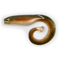 Black Cat MEGA CURL TAIL 22cm