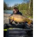 Matrix Torque Carp Power 10.0m Pole Package