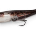 Fox Rage Ultra Natural Catfish Replicant Fox Rage Ultra Natural Catfish Replicant