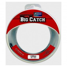 Asso Big Catch (fluorocarbon)